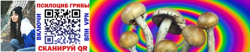 Галлюциногенные грибы GOLDEN TEACHER Купить где Ряжск